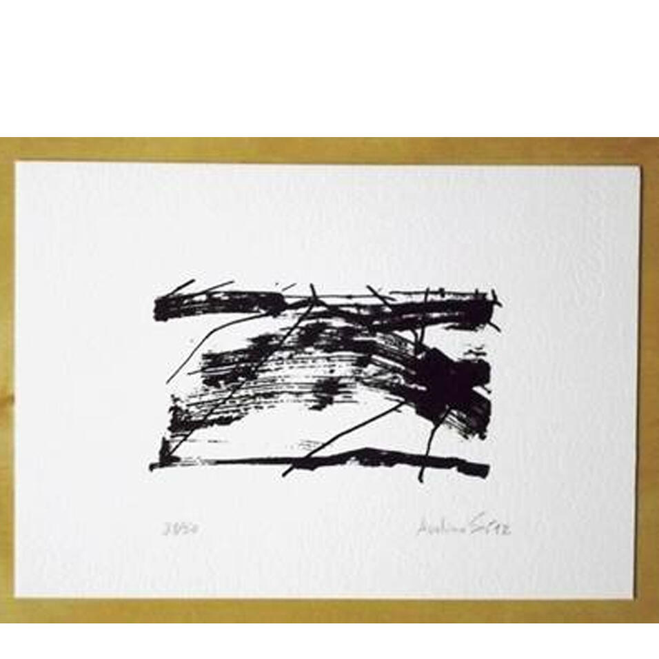 Catálogo Avelino Sá