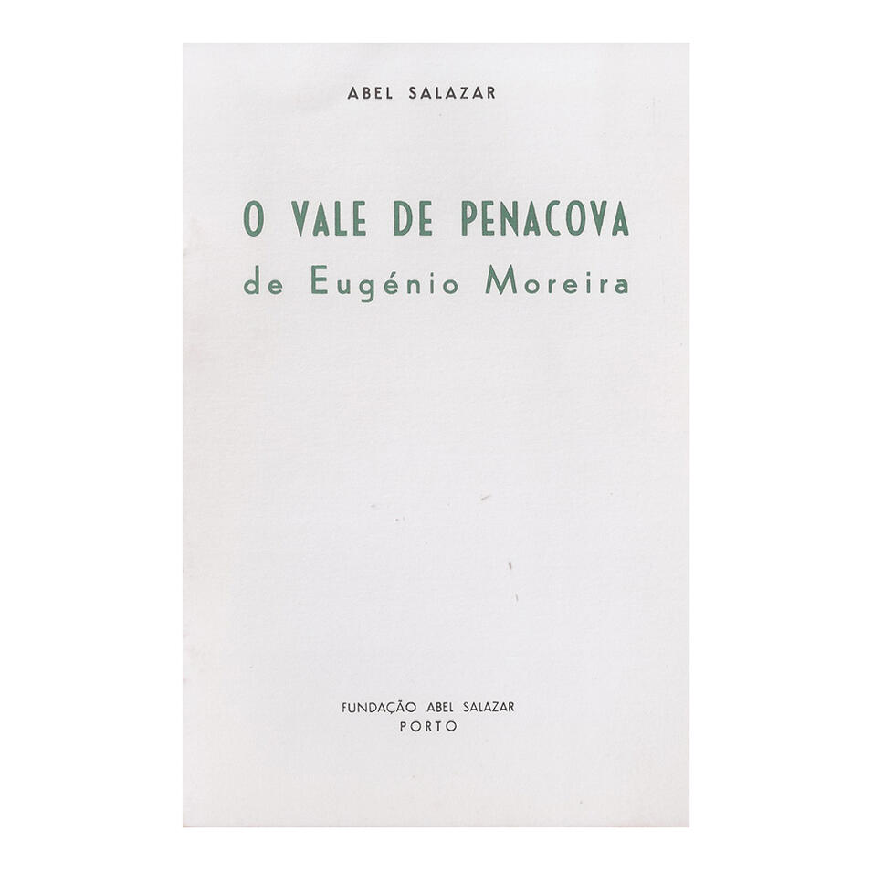 O vale de Penacova de Eugenio Moreira
