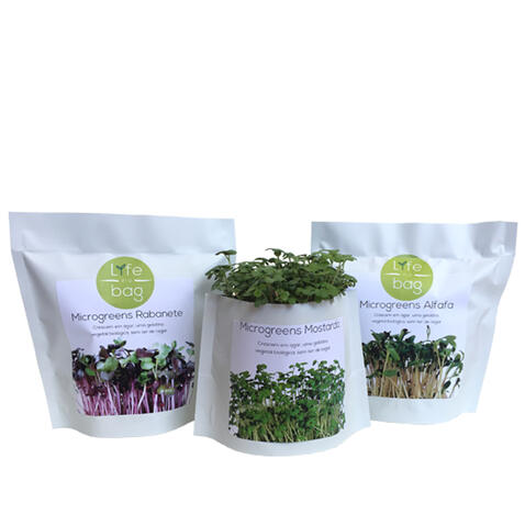 Microverduras em agar-agar