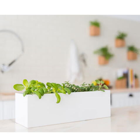 Grow Box | Mini Horta