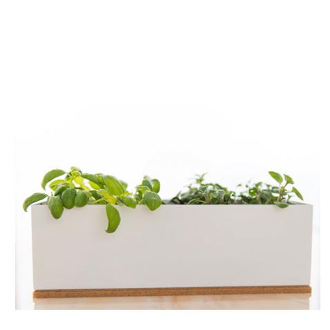 Grow Box | Mini Horta