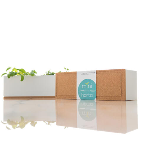 Grow Box | Mini Horta