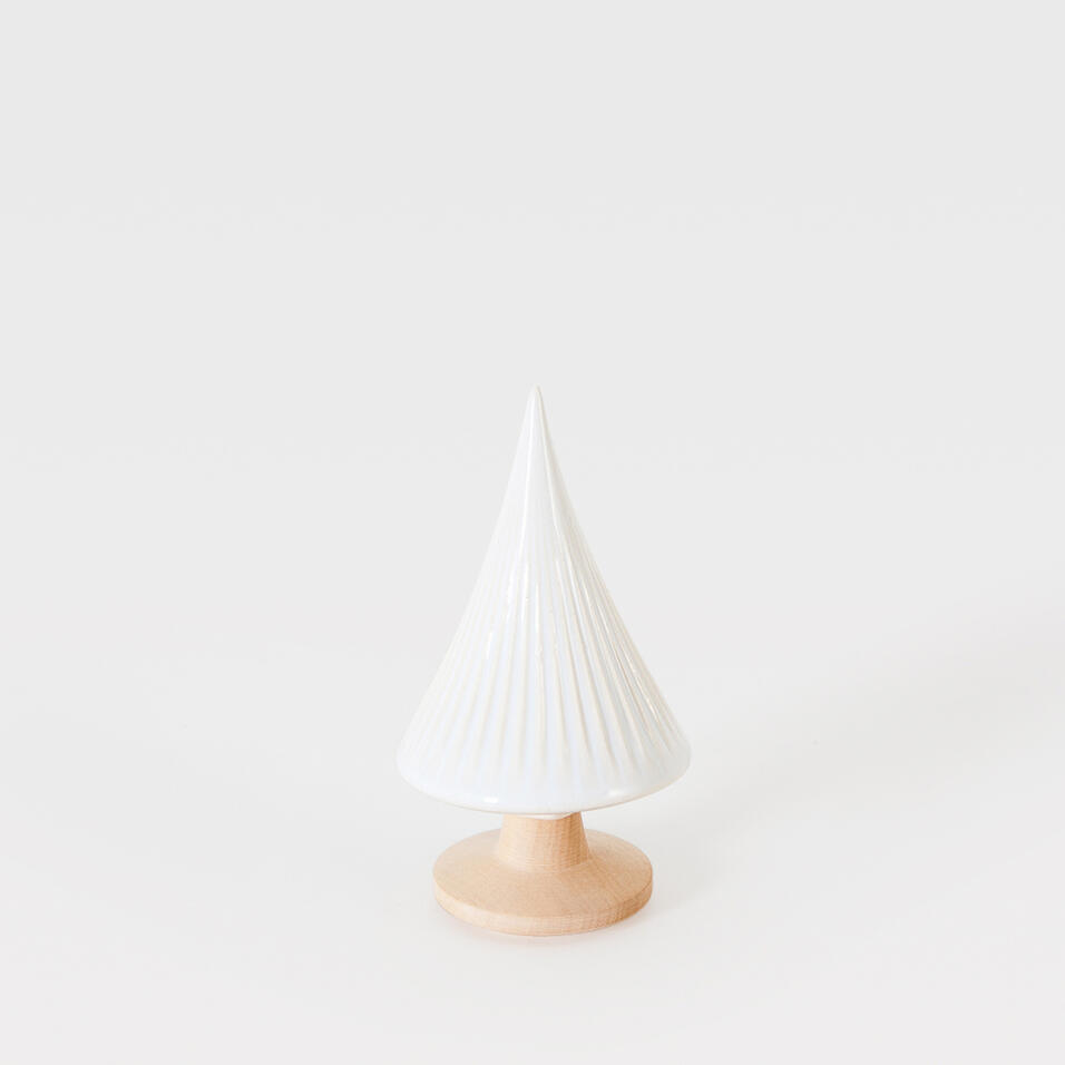 Pinheiro Pequeno, Laboratório d'estórias