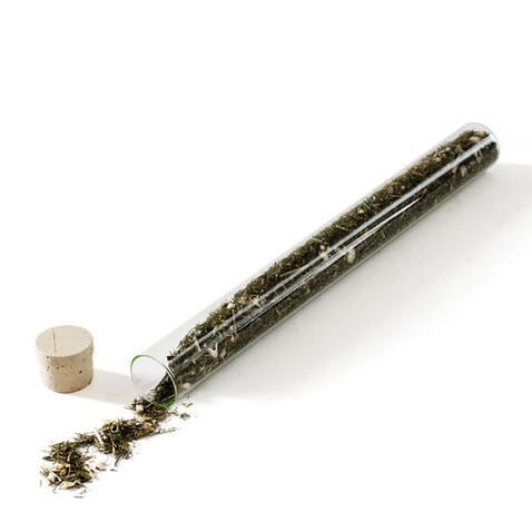 Chá &ldquo;Funcho/Fiolho&rdquo;