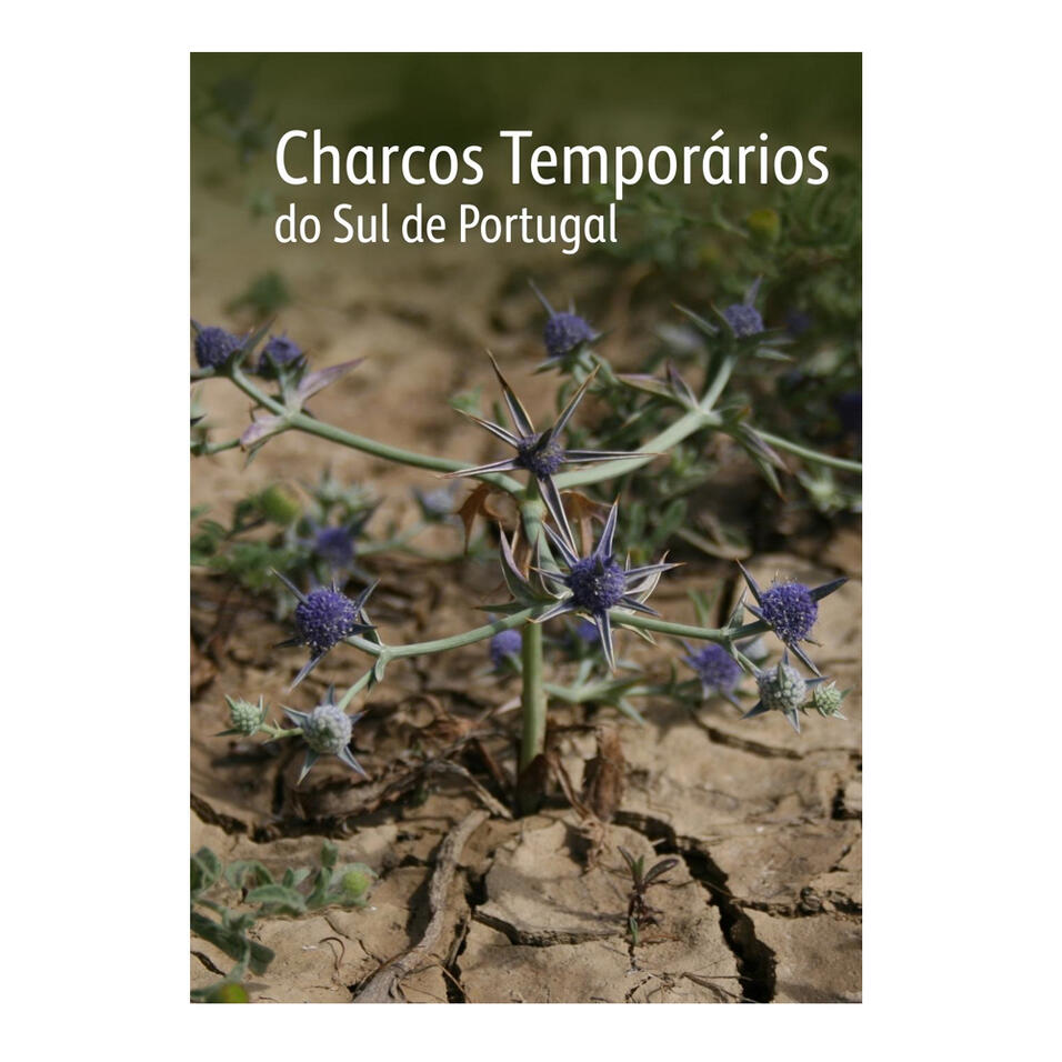 Charcos Temporários do Sul de Portugal