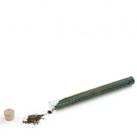 Chá &ldquo;Alecrim&rdquo;